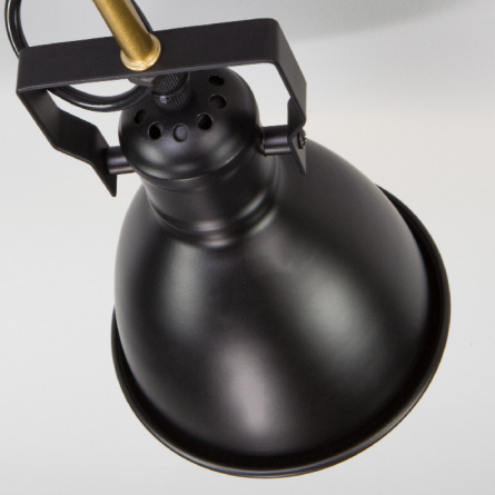 Потолочная люстра Denley 70112/8 черный фото 2